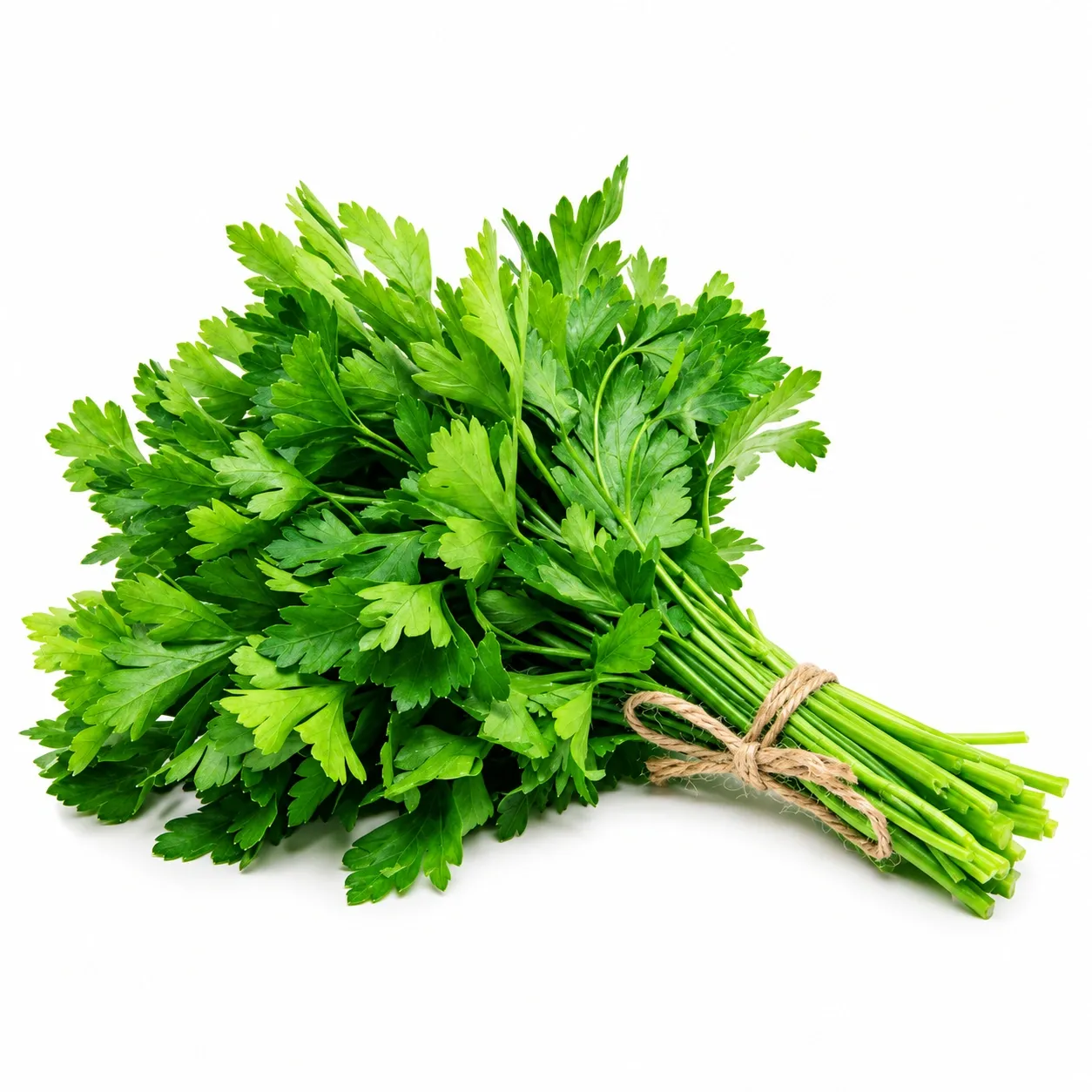 ধনিয়া পাতা (Coriander Leaf)