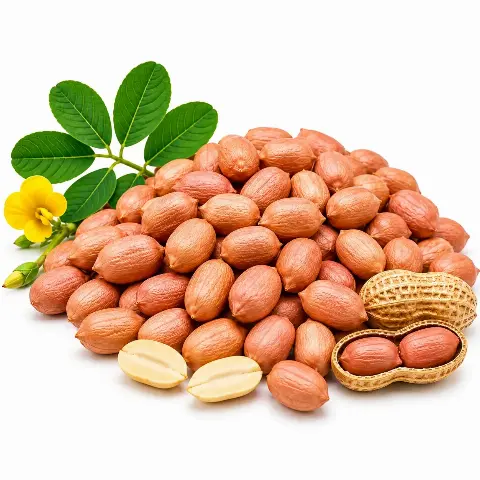 কাঁচা বাদাম (Kacha Badam)
