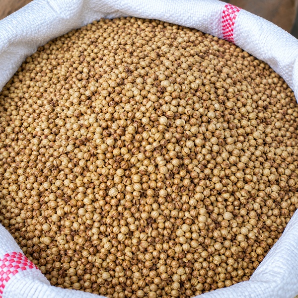 ধনিয়া