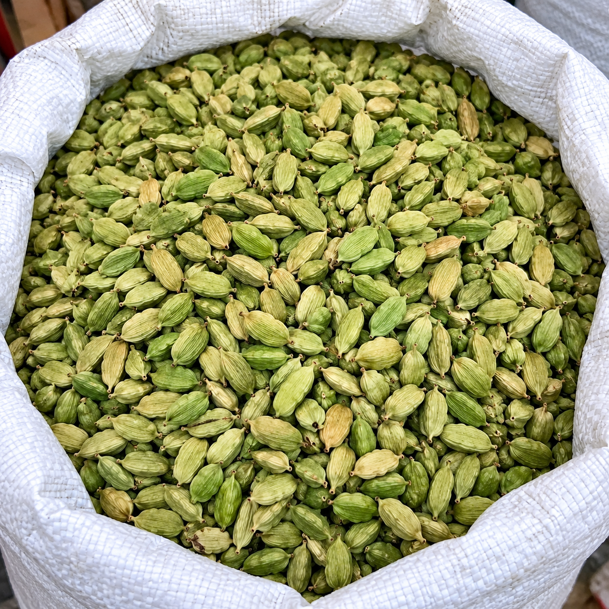 ছোট এলাচ 