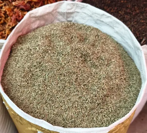 জিরা